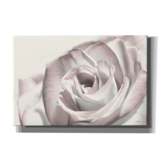 Epic Graffiti 'Blush Rose I' by Lori Deiter, Canvas Wall Art, 60"x40"