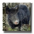 thumbnail image 1 of Epic Graffiti 'Boar In The Wild'  by Art Licensing Studio Canvas Wall Art, 26" x 26", 1 of 8