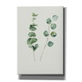 thumbnail image 1 of Epic Graffiti 'Botanical I' by Incado, Giclee Canvas Wall Art, 18"x26", 1 of 8