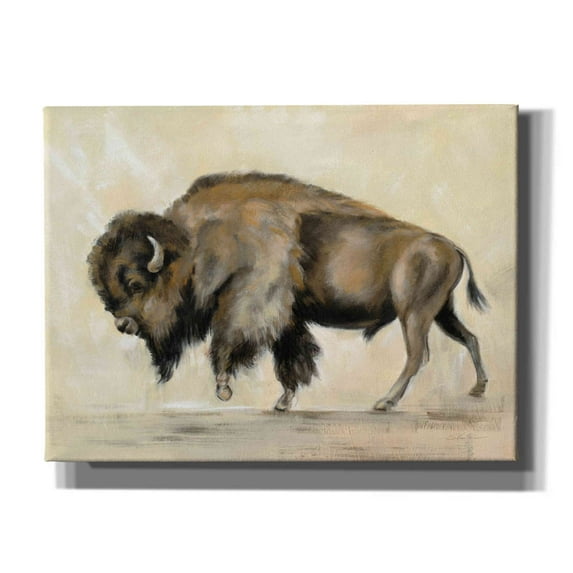 Epic Graffiti 'Bronze Buffalo' by Silvia Vassileva, Canvas Wall Art, 16"x12"