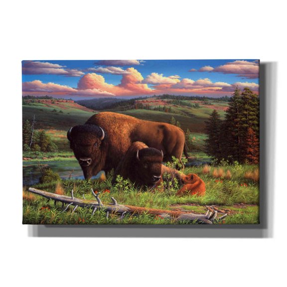 Epic Graffiti 'Buffalo Nation' by R. Hed, Canvas Wall Art, 26"x18"
