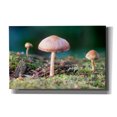 thumbnail image 1 of Epic Graffiti 'Buffalo River 2023 01' by Gordon Semmens Canvas Wall Art, 40" x 26", 1 of 1