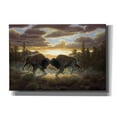 thumbnail image 1 of Epic Graffiti 'Buffalo' by R. Hed, Canvas Wall Art, 26"x18", 1 of 2