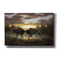 Epic Graffiti 'Buffalo' by R. Hed, Canvas Wall Art, 60"x40"