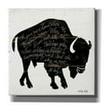 thumbnail image 1 of Epic Graffiti 'Buffalo in Black' by Cindy Jacobs, Canvas Wall Art, 12"x12", 1 of 2