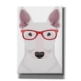 thumbnail image 1 of Epic Graffiti 'Bull Terrier Wearing Hipster Glasses' by Furbaby Affiliates, Canvas Wall Art, 18"x26", 1 of 2