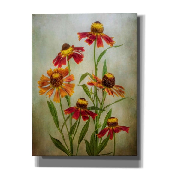 Epic Graffiti 'Cabaret' by Mandy Disher, Giclee Canvas Wall Art, 40"x54"