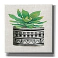 thumbnail image 1 of Epic Graffiti 'Cactus Mud Cloth Vase IV' by Cindy Jacobs, Canvas Wall Art, 18"x18", 1 of 8