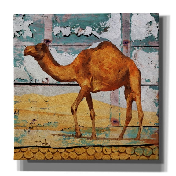 Epic Graffiti 'Camel House' by Irena Orlov, Canvas Wall Art, 26"x26"