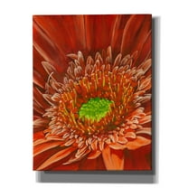 Epic Graffiti 'Cameo' by Barbara Keith, Canvas Wall Art, 26"x34"