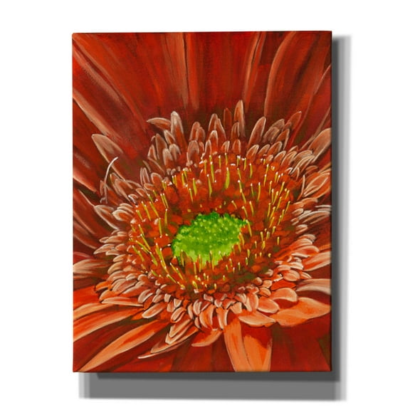 Epic Graffiti 'Cameo' by Barbara Keith, Canvas Wall Art, 26"x34"