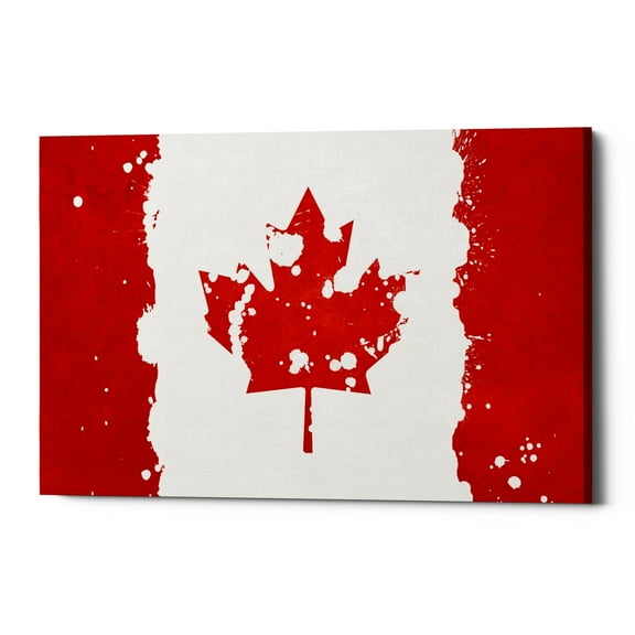 Epic Graffiti  'Canada' Giclee Canvas Wall Art, 18"x12" 12" x 18"