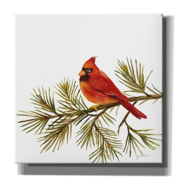 Epic Graffiti 'Cardinal Christmas V on White' by Silvia Vassileva, Canvas Wall Art, 12"x12"