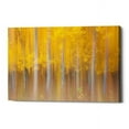 thumbnail image 1 of Epic Graffiti "Changing Seasons" by Darren White, Giclee Canvas Wall Art 26" x 40", 1 of 2