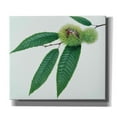 thumbnail image 1 of Epic Graffiti 'Chestnut' by Zigen Tanabe, Canvas Wall Art, 30"x26", 1 of 3