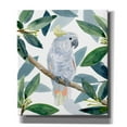 thumbnail image 1 of Epic Graffiti 'Cockatoo Perch I' by Annie Warren, Canvas Wall Art, 26"x30", 1 of 2
