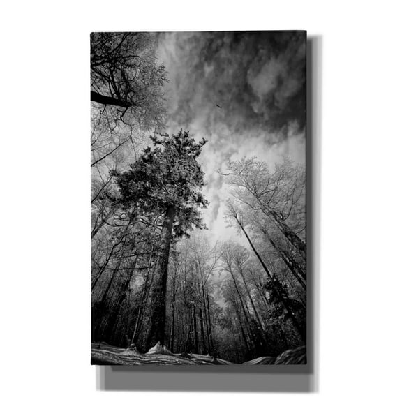 Epic Graffiti 'Cold Vision' by Philippe Sainte-Laudy, Canvas Wall Art, 26"x40"