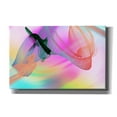 thumbnail image 1 of Epic Graffiti 'Color In The Lines 2' by Irena Orlov Giclee Canvas Wall Art, 40"x26", 1 of 8