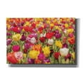 thumbnail image 1 of Epic Graffiti 'Colorful Bouquet' by Martin Podt, Canvas Wall Art, 18"x12", 1 of 3