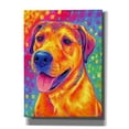 thumbnail image 1 of Epic Graffiti 'Colorful Dog'  by Rebecca Wang Art Canvas Wall Art, 40" x 54", 1 of 8