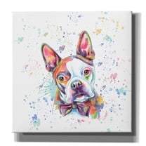 Epic Graffiti 'Colorful Watercolor Boston Terrier' by Furbaby Affiliates, Canvas Wall Art, 26"x26"