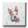 thumbnail image 1 of Epic Graffiti 'Colorful Watercolor Boston Terrier' by Furbaby Affiliates, Canvas Wall Art, 37"x37", 1 of 2