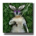 thumbnail image 1 of Epic Graffiti 'Cool Kangaroo' by Enright, Canvas Wall Art, 18"x18", 1 of 8