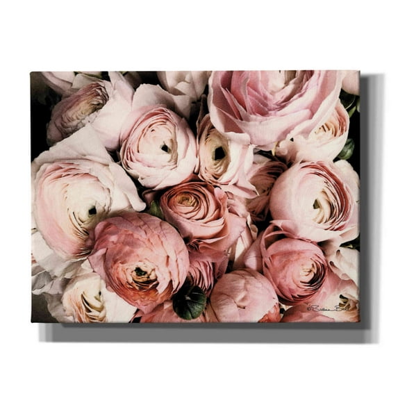 Epic Graffiti 'Coral Ranunculus' by Susan Ball, Canvas Wall Art, 34"x26"