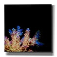 thumbnail image 1 of Epic Graffiti 'Coral Reef' by Epic Portfolio Giclee Canvas Wall Art, 18"x18", 1 of 8