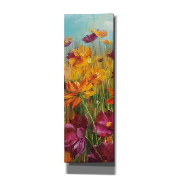 Epic Graffiti 'Cosmos In The Field 2' by Danhui Nai Canvas Wall Art, 12" x 36"