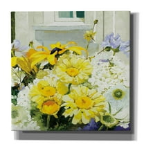 Epic Graffiti 'Cottage Susans And Daisies'  by Shirley Novak Canvas Wall Art, 26" x 26"