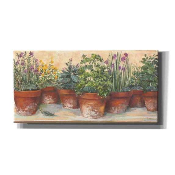 Epic Graffiti 'Country Herbs' by Carol Rowan, Giclee Canvas Wall Art, 24"x12"