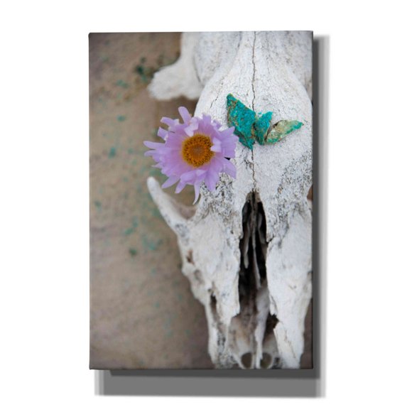 Epic Graffiti 'Coyote Shaman' by Elena Ray, Canvas Wall Art, 12"x18"