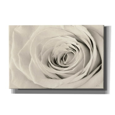 Epic Graffiti 'Cream Rose' by Lori Deiter, Canvas Wall Art, 18"x12"
