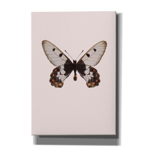 Epic Graffiti 'Cressida Cressida' by Incado, Giclee Canvas Wall Art, 18"x26"