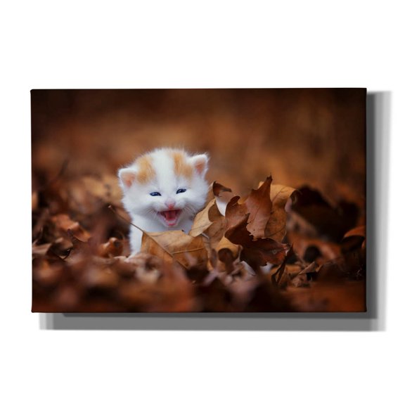 Epic Graffiti 'Crying In The Leaves' by Jonathan Ross, Canvas Wall Art, 18"x12"