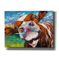 thumbnail image 1 of Epic Graffiti 'Curious Cow I' by Carolee Vitaletti Canvas Wall Art, 26"x18", 1 of 3