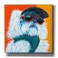 thumbnail image 1 of Epic Graffiti 'Cute Pups IV' by Carolee Vitaletti, Canvas Wall Art, 37"x37", 1 of 3