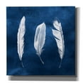 thumbnail image 1 of Epic Graffiti 'Cyanotype Feathers II' by Grace Popp, Canvas Wall Art, 18"x18", 1 of 2