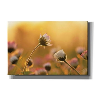 Epic Graffiti 'Daisies' by Martin Podt, Canvas Wall Art, 60"x40"