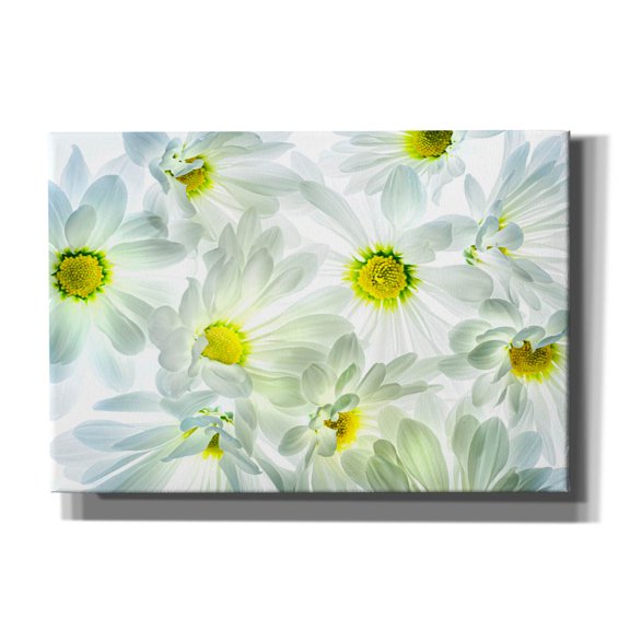 Epic Graffiti 'Daisy Dance' by Pamela Plummer, Canvas Wall Art, 26"x18"