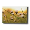 thumbnail image 1 of Epic Graffiti 'Daisy at Sunset' by Martin Podt, Canvas Wall Art, 60"x40", 1 of 2