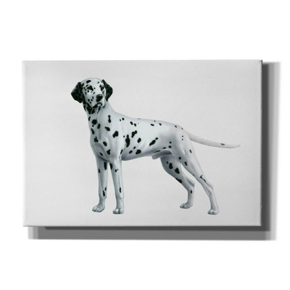 Epic Graffiti 'Dalmatian' by Harro Maass, Canvas Wall Art, 26"x18"