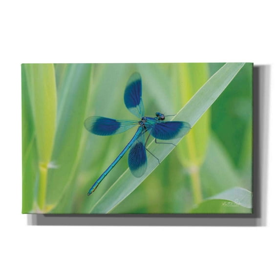 Epic Graffiti 'Damselfly in Blue' by Martin Podt, Canvas Wall Art, 40"x26"