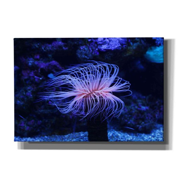 Epic Graffiti 'Deep Sea Tango ' by Epic Portfolio Giclee Canvas Wall Art, 26"x18"