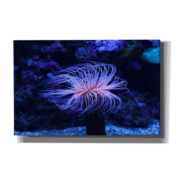 Epic Graffiti 'Deep Sea Tango ' by Epic Portfolio Giclee Canvas Wall Art, 40"x26"