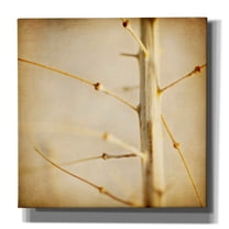 Epic Graffiti 'Desert Afterlife 2C' by Jessica Rogers, Canvas Wall Art, 12"x12"