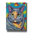 thumbnail image 1 of Epic Graffiti 'Dilute Tortoiseshell Cat' by Rebecca Wang Art, Canvas Wall Art, 40"x54", 1 of 8