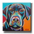 thumbnail image 1 of Epic Graffiti 'Dog Friend II' by Carolee Vitaletti, Canvas Wall Art, 12"x12", 1 of 3