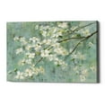 thumbnail image 1 of Epic Graffiti 'Dogwood in Spring on Blue' by Danhui Nai, Canvas Wall Art, 40"x26", 1 of 2